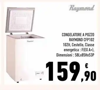 Conad Superstore Congelatore verticale raymond cep102 offerta