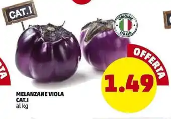 PENNY Melanzane Viola Cat.I offerta