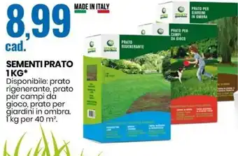 Eurospin Sementi Prato 1kg offerta
