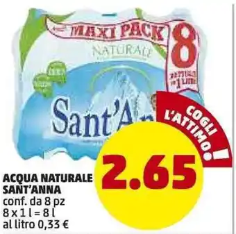 PENNY Acqua Naturale Sant'Anna 8x1L offerta