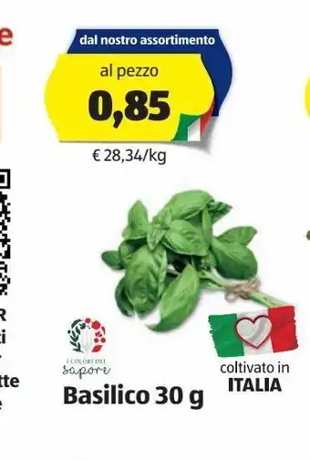 ALDI Basilico i colori del sapore offerta