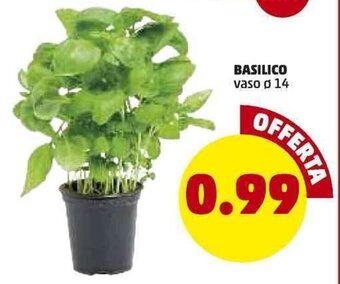 Basilico