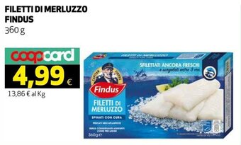 Ipercoop Findus Filetti Di Merluzzo 360 g offerta