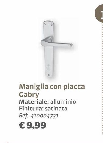 Bricocenter Maniglia con placca gabry materiale: alluminio finitura: satinata offerta
