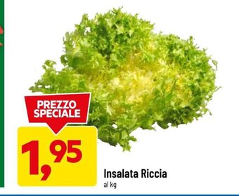 DPiù Insalata Riccia offerta