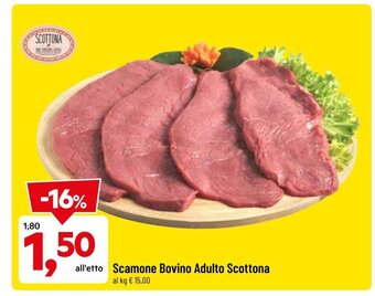 DPiù Scamone Bovino Adulto Scottona offerta
