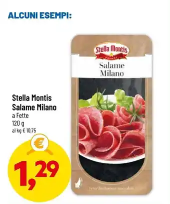 DPiù Stella Montis Salame Milano 120g offerta