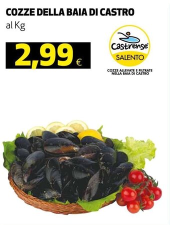 Ipercoop Cozze Della Baia Di Castro offerta