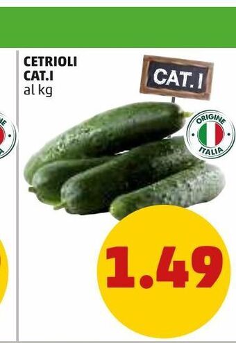 PENNY Cetrioli cat.i offerta