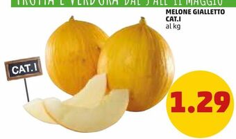 PENNY Melone gialletto cat.i offerta