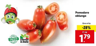 Lidl Pomodoro oblungo offerta