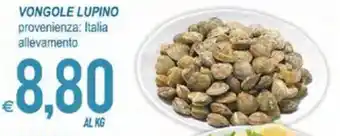 MD Discount Vongole Lupino offerta