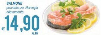 MD Discount Salmone offerta