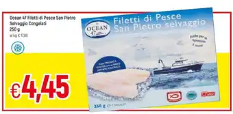 Famila Ocean 47 Filetti di Pesce San Pietro Selvaggio Congelati 250g offerta