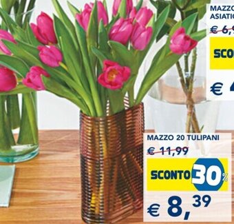Esselunga Mazzo 20 Tulipani offerta