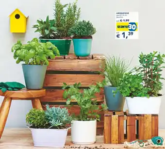 Esselunga Aromatiche vaso Ø 14 cm offerta