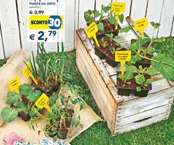 Esselunga Piante da Orto assortite offerta
