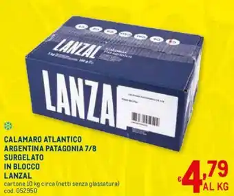 Metro Lanzal Calamaro Atlantico Argentina Patagonia 7/8 Surgelato in Blocco 10kg offerta
