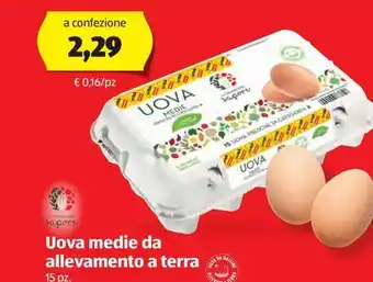 ALDI I colori del sapore uova medi da allevamento a terra offerta
