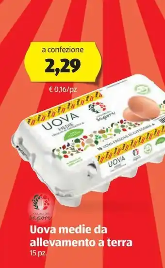 ALDI I colori del sapore uova medie da allevamneto a terra offerta