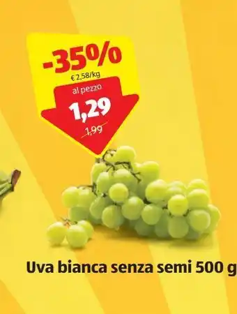 ALDI Uva biance senza semi 500 g offerta