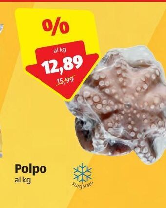 ALDI Polpo offerta