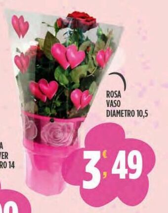 Rosa