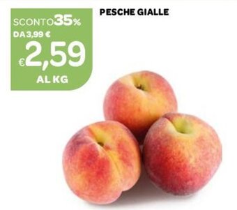 Ekom Pesche Gialle offerta