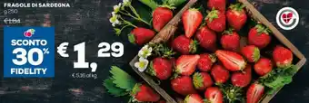 Fragole Di Sardegna g 250