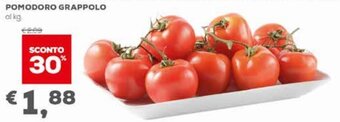 Pan Pomodoro Grappolo offerta