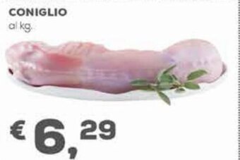 Coniglio