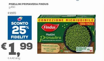 Pan Pisellini Primavera Findus g.450 offerta