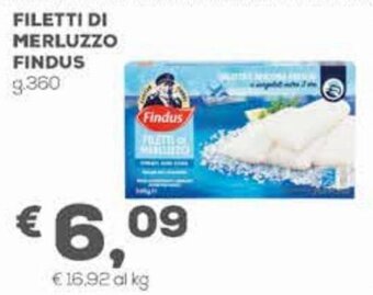 Pan Filetti Di Merluzzo Findus g.360 offerta