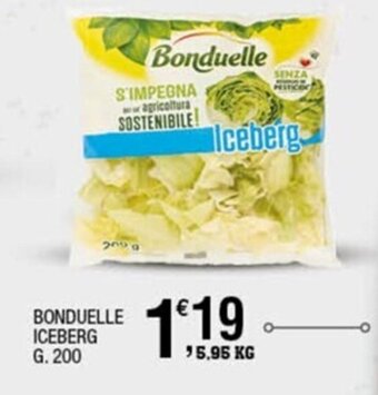 Sigma Bonduelle Iceberg g. 200 offerta