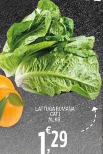 Sigma Lattuga Romana offerta