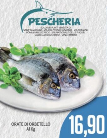 Supermercati Piccolo Orate Di Orbetello offerta