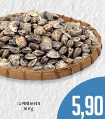 Supermercati Piccolo Lupini Medi offerta