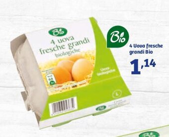 In'S Mercato 4 Uova Fresche Grandi Bio offerta