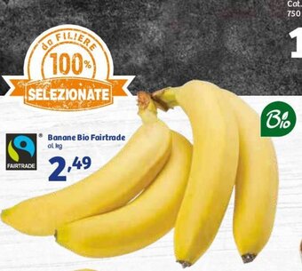 In'S Mercato Banane Bio Fairtrade offerta