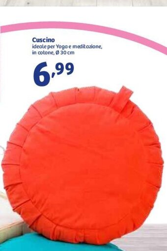 In'S Mercato Cuscino offerta