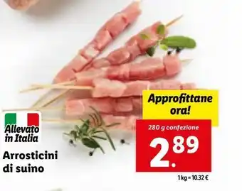 Lidl Arrosticini di suino offerta