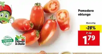 Lidl Pomodoro oblungo offerta
