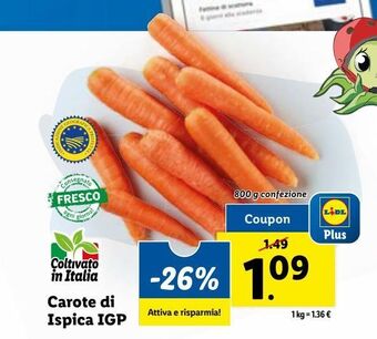 Carote di ispica igp