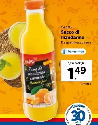 Lidl Succo di mandarino offerta