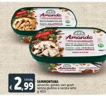 Deco Supermercati Sammontana amandor gelato vari gusti senza glutine e senza latte g 400 offerta