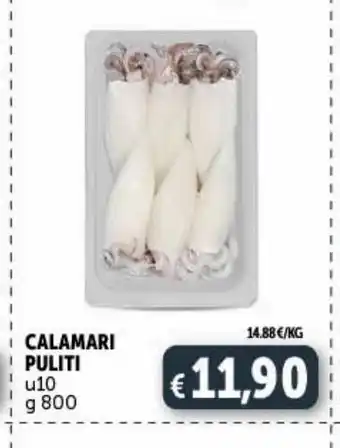 Deco Supermercati Calamari puliti offerta