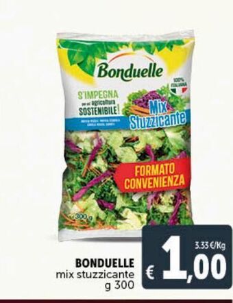 Deco Market Bonduelle mix stuzzicante g 300 offerta