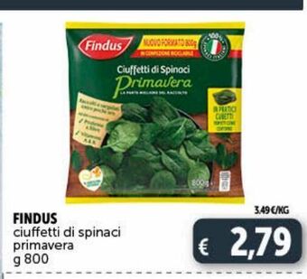 Deco Market Findus ciuffetti di spinaci primavera g 800 offerta