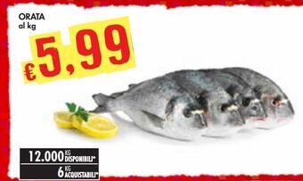 Bennet Orata offerta