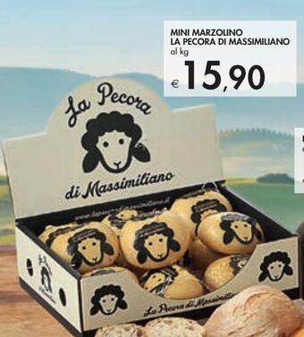 Bennet Mini marzolino la pecora di massimiliano offerta